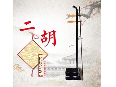 招聘文山二胡家教老师